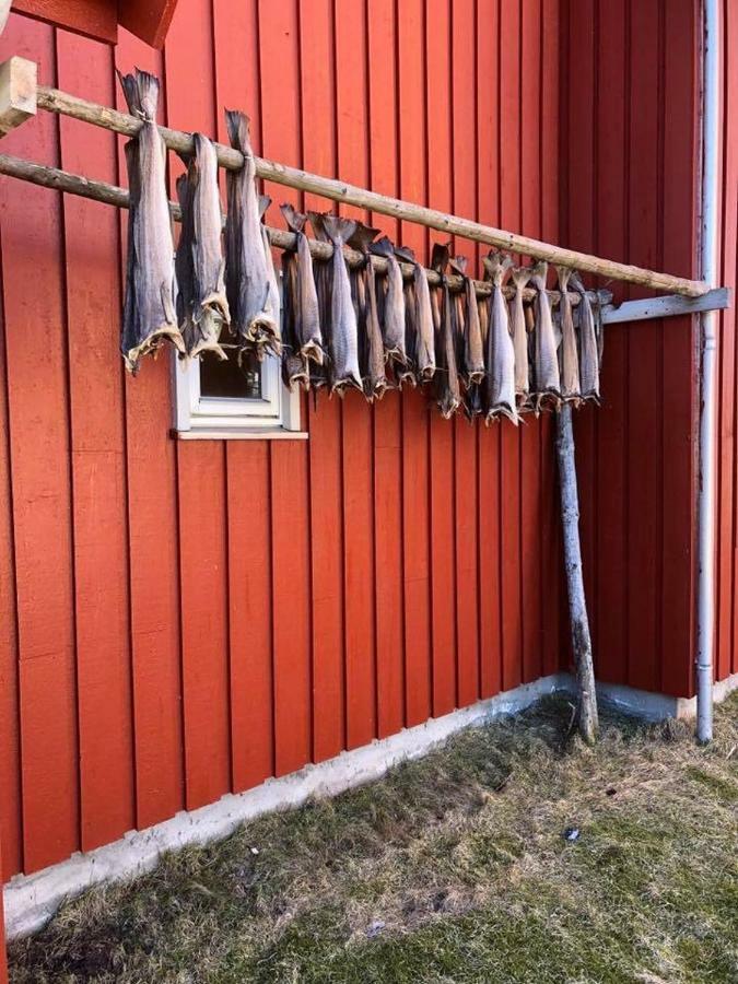 Ballstad Brygge Rorbu Zewnętrze zdjęcie